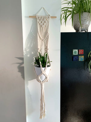 Macrame Wall Plant Hanger, with Plant Example