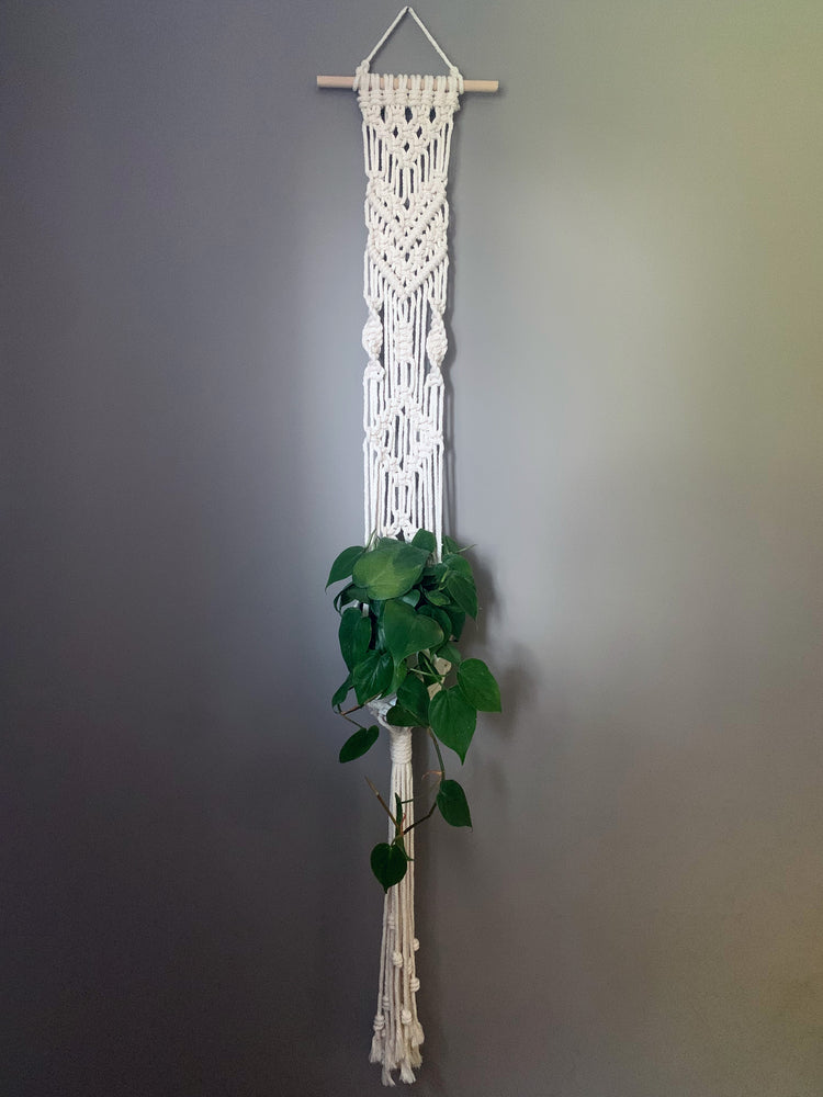 
            
                Load image into Gallery viewer, Tall Macrame Wall Plant Hanger
            
        